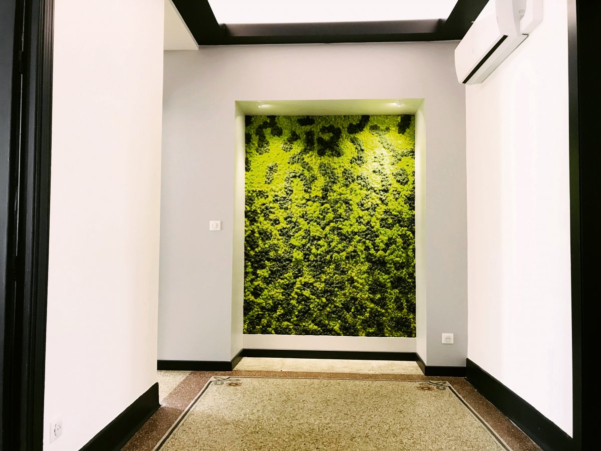 Profession libérale - Médecine esthétique