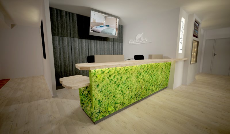 Hôtellerie - Réception - Orée du bois Vittel