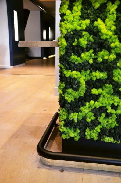 Hôtellerie - Réception - Orée du bois Vittel